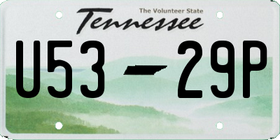 TN license plate U5329P