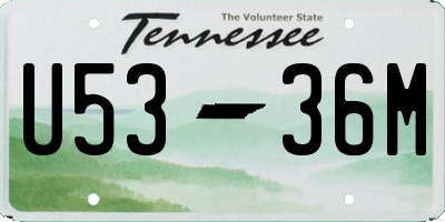 TN license plate U5336M
