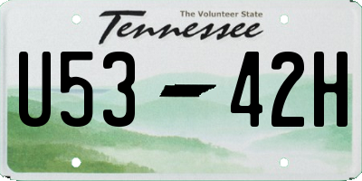 TN license plate U5342H