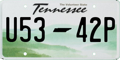 TN license plate U5342P