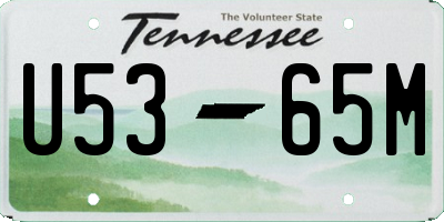 TN license plate U5365M