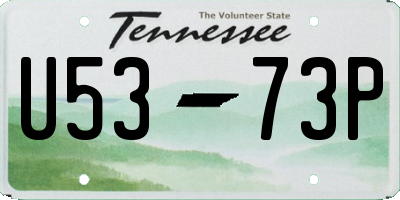 TN license plate U5373P