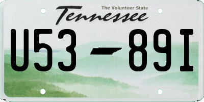 TN license plate U5389I