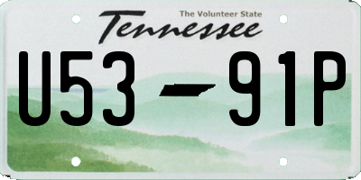 TN license plate U5391P