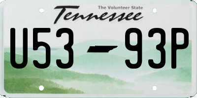 TN license plate U5393P
