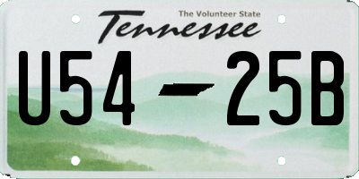 TN license plate U5425B