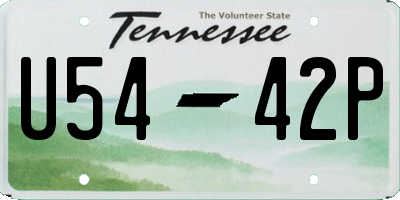 TN license plate U5442P