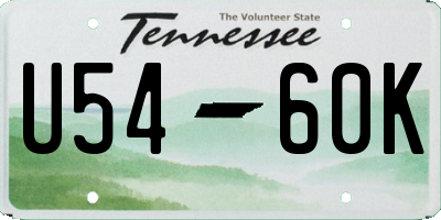 TN license plate U5460K