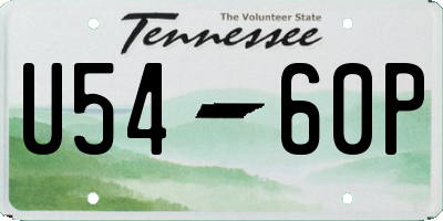TN license plate U5460P