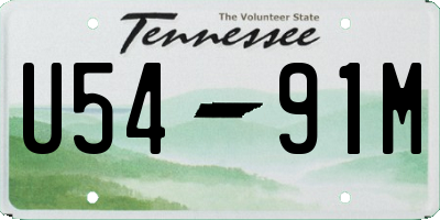 TN license plate U5491M