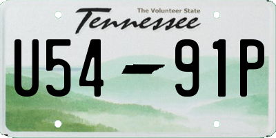 TN license plate U5491P