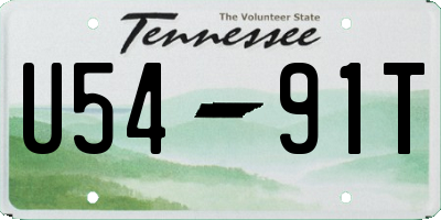 TN license plate U5491T