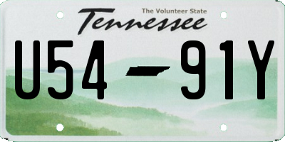 TN license plate U5491Y