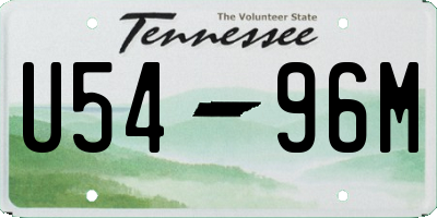 TN license plate U5496M