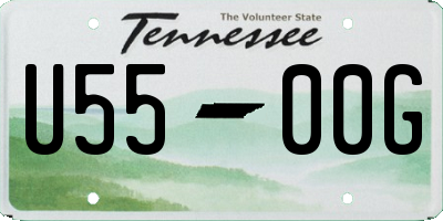 TN license plate U5500G