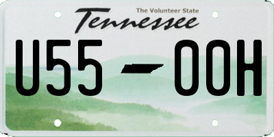 TN license plate U5500H