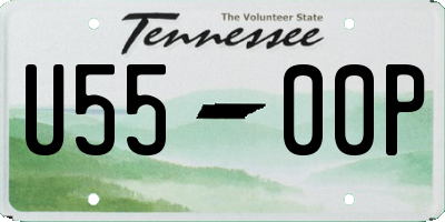 TN license plate U5500P