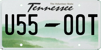 TN license plate U5500T