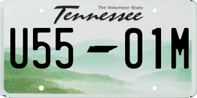 TN license plate U5501M