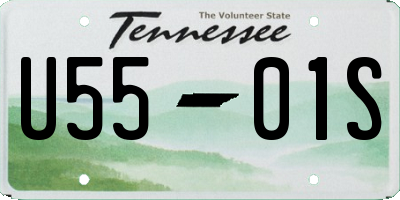 TN license plate U5501S