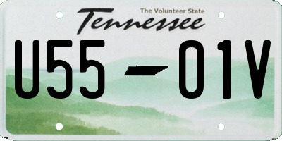 TN license plate U5501V
