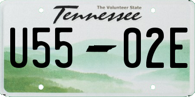 TN license plate U5502E