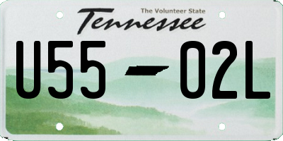 TN license plate U5502L
