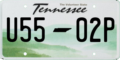 TN license plate U5502P
