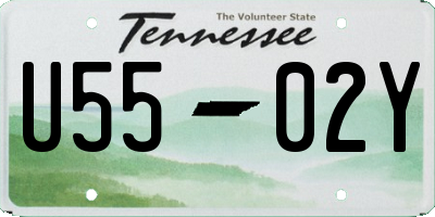 TN license plate U5502Y