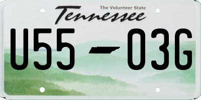 TN license plate U5503G