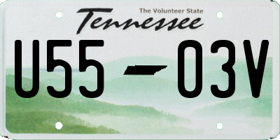 TN license plate U5503V