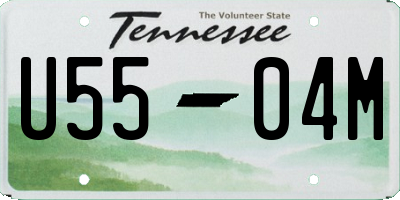 TN license plate U5504M