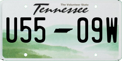 TN license plate U5509W