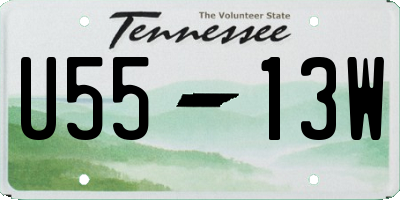 TN license plate U5513W