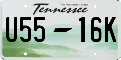 TN license plate U5516K