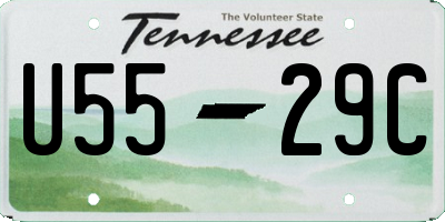 TN license plate U5529C