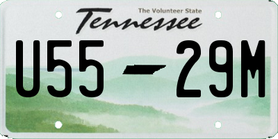 TN license plate U5529M