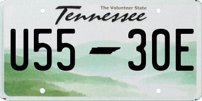 TN license plate U5530E