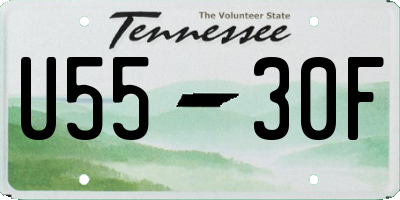 TN license plate U5530F