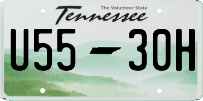 TN license plate U5530H