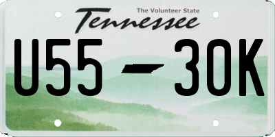 TN license plate U5530K