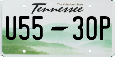 TN license plate U5530P