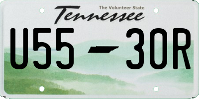TN license plate U5530R