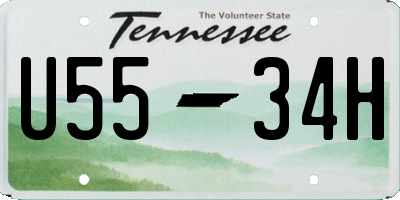 TN license plate U5534H
