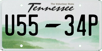 TN license plate U5534P