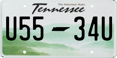 TN license plate U5534U