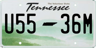 TN license plate U5536M