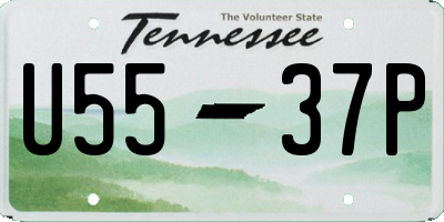 TN license plate U5537P