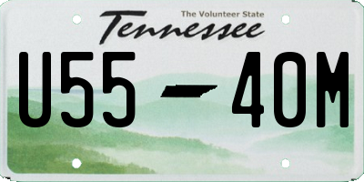 TN license plate U5540M