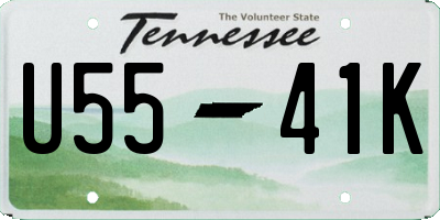 TN license plate U5541K